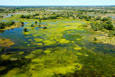 Botswana-Okavango Delta-Okavango Big Five Safari